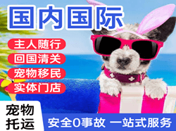 伊尔施机场货运国际宠物托运 【国