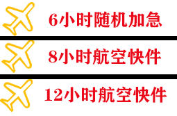 伊尔施机场货运快递公司,专业空运当天件
